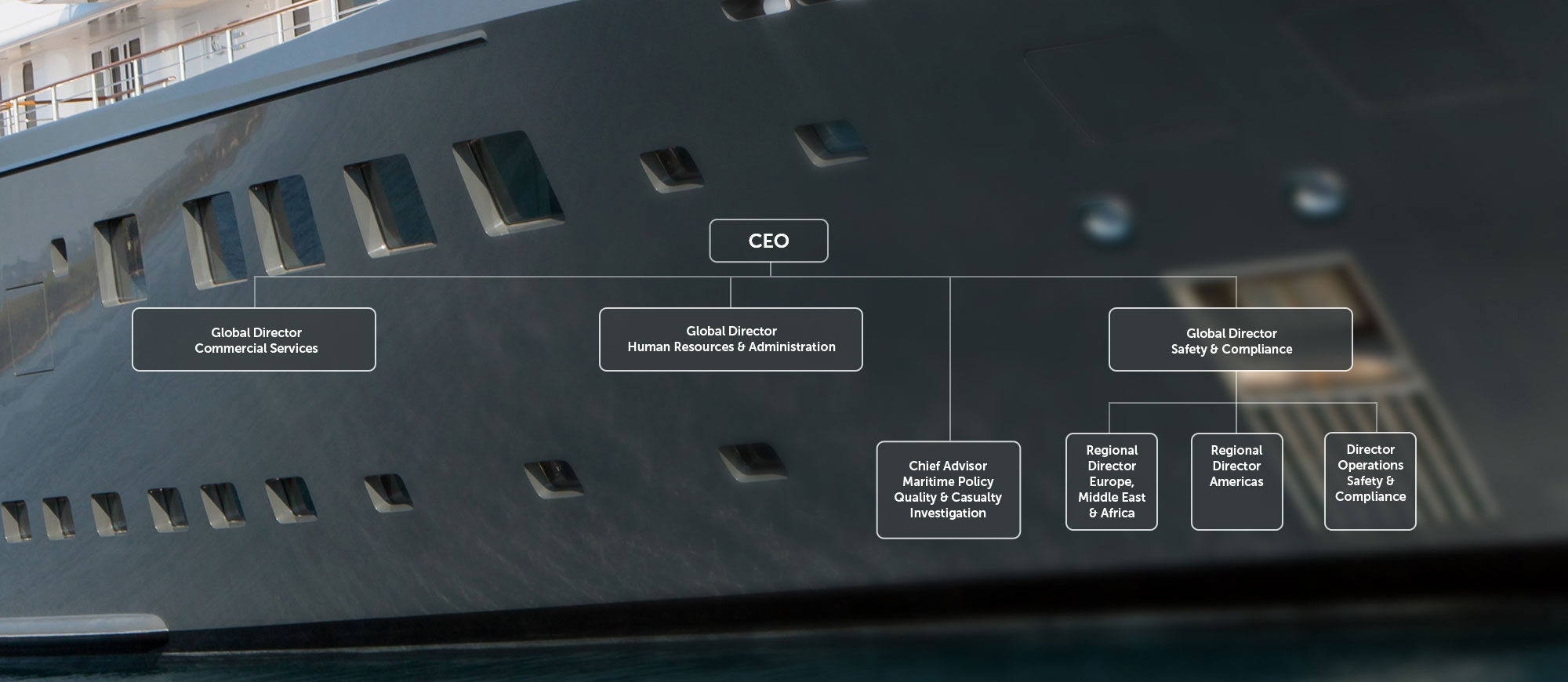 Organisational Chart of Management Team of MACI